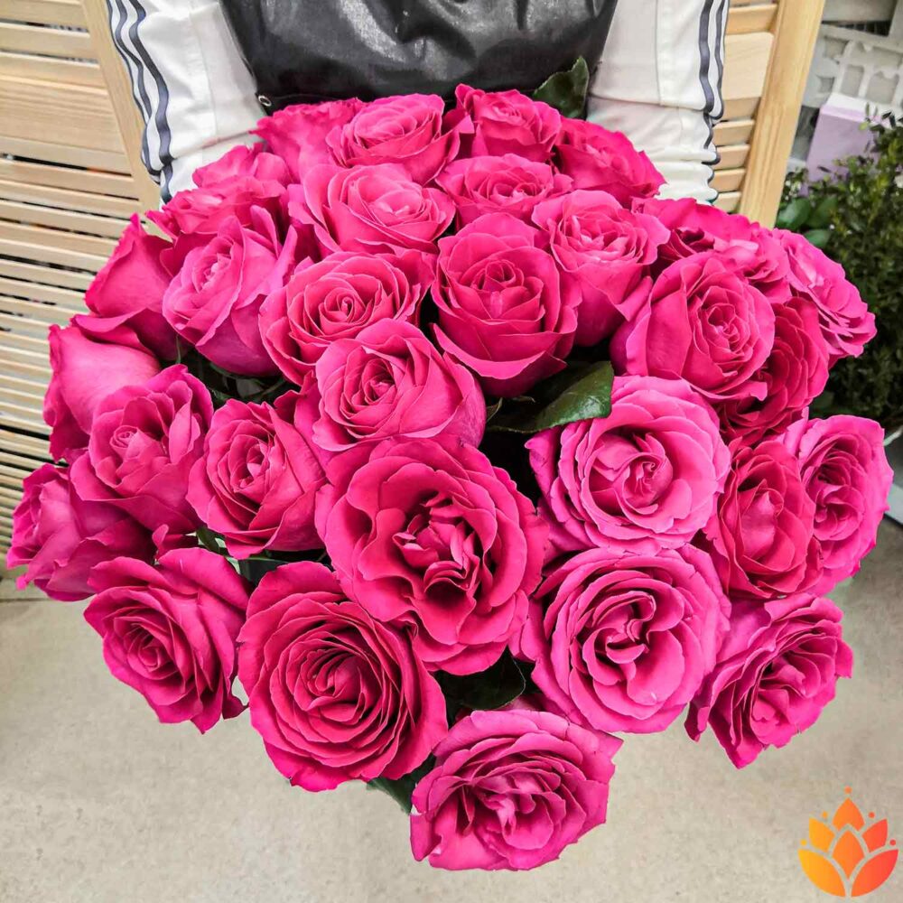 Букет из 31 розовой эквадорской розы