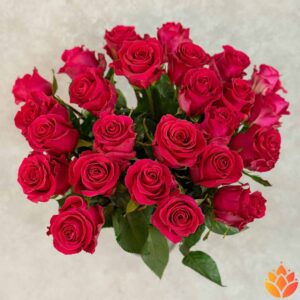 Моно-букет из 25 красных роз