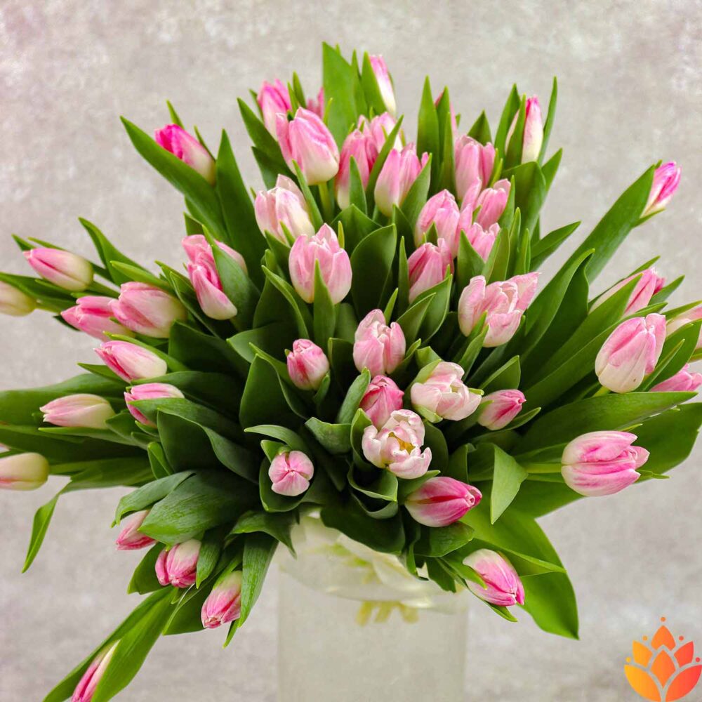 Букет из 51 нежно-розовых тюльпанов